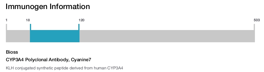 CYP3A4 Polyclonal Antibody, Cyanine7