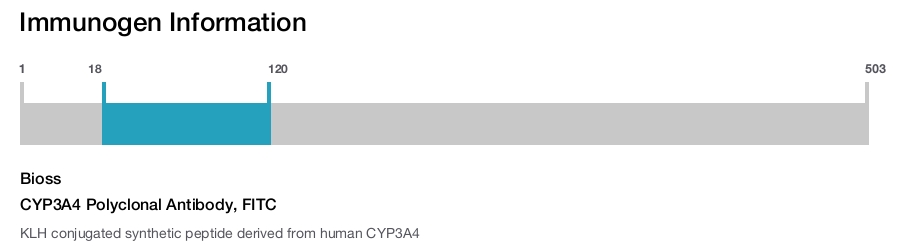 CYP3A4 Polyclonal Antibody, FITC