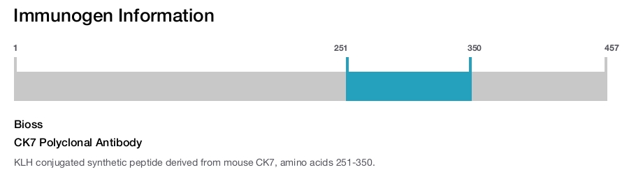 CK7 Polyclonal Antibody