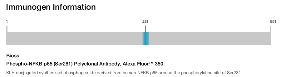 Phospho-NFKB p65 (Ser281) Polyclonal Antibody, Alexa Fluor&trade; 350