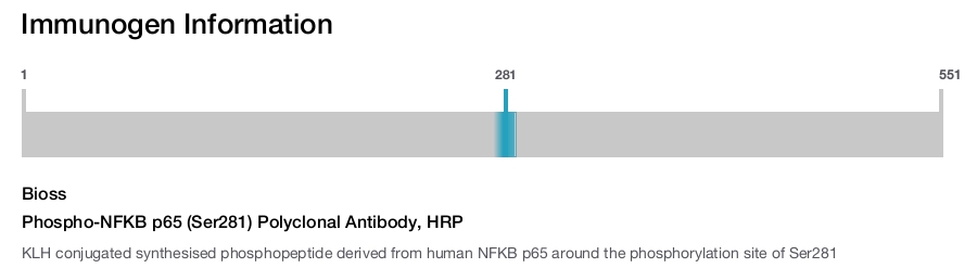 Phospho-NFKB p65 (Ser281) Polyclonal Antibody, HRP