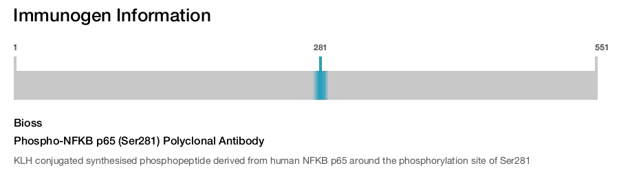 Phospho-NFKB p65 (Ser281) Polyclonal Antibody