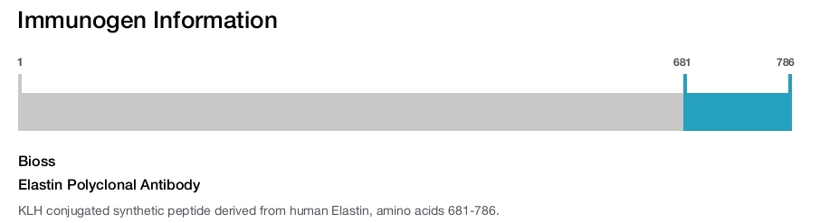 Elastin Polyclonal Antibody