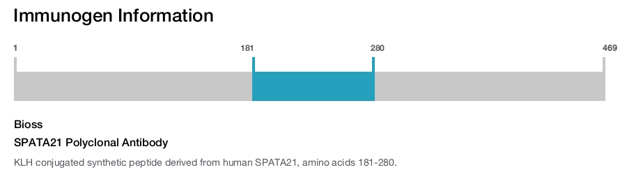SPATA21 Polyclonal Antibody