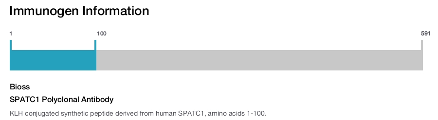SPATC1 Polyclonal Antibody