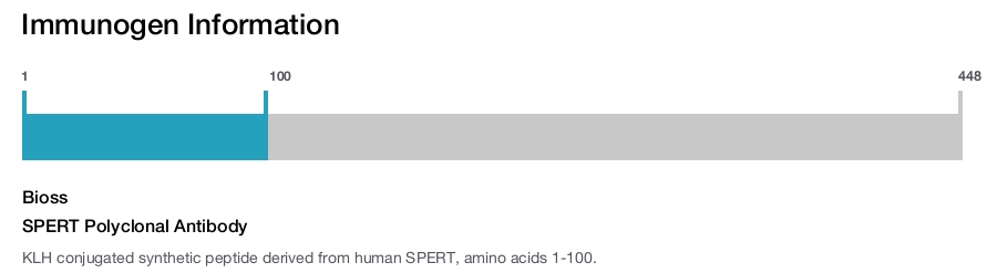 SPERT Polyclonal Antibody