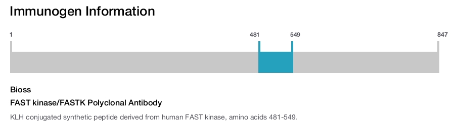FAST kinase/FASTK Polyclonal Antibody