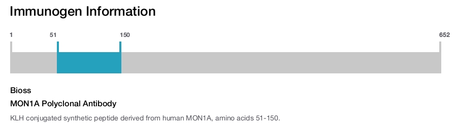 MON1A Polyclonal Antibody