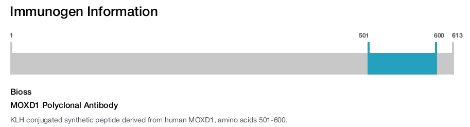 MOXD1 Polyclonal Antibody
