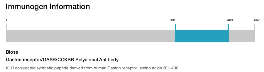 Gastrin receptor/GASR/CCKBR Polyclonal Antibody