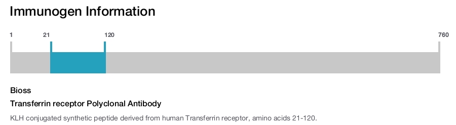 Transferrin receptor Polyclonal Antibody