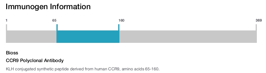CCR9 Polyclonal Antibody