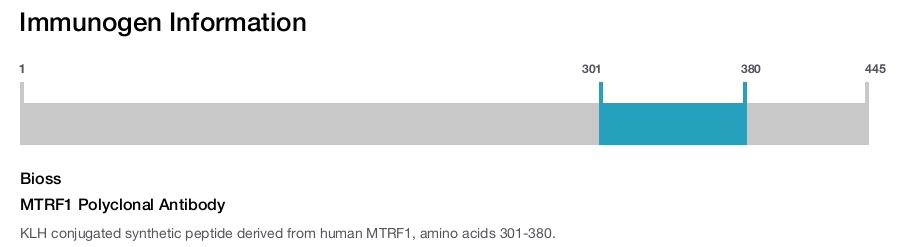 MTRF1 Polyclonal Antibody