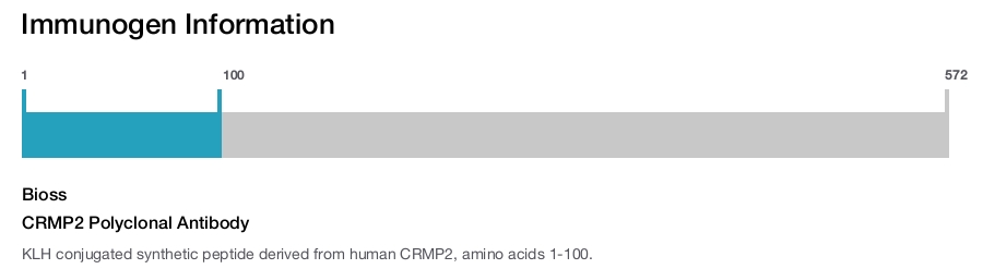 CRMP2 Polyclonal Antibody