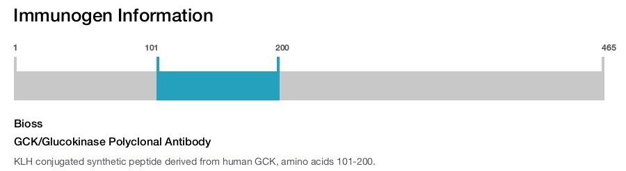 GCK/Glucokinase Polyclonal Antibody
