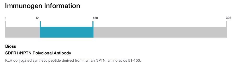 SDFR1/NPTN Polyclonal Antibody