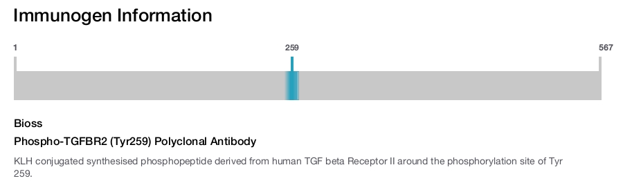 Phospho-TGFBR2 (Tyr259) Polyclonal Antibody
