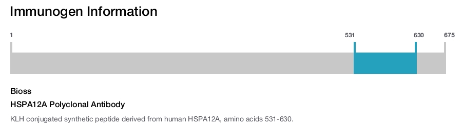 HSPA12A Polyclonal Antibody