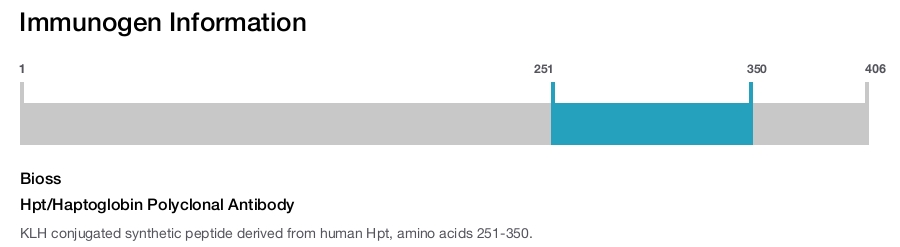 Hpt/Haptoglobin Polyclonal Antibody
