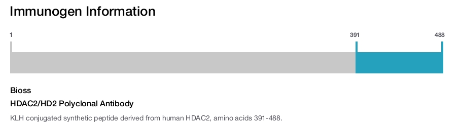 HDAC2/HD2 Polyclonal Antibody