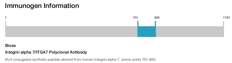 Integrin alpha 7/ITGA7 Polyclonal Antibody