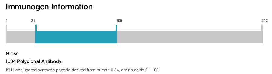 IL34 Polyclonal Antibody