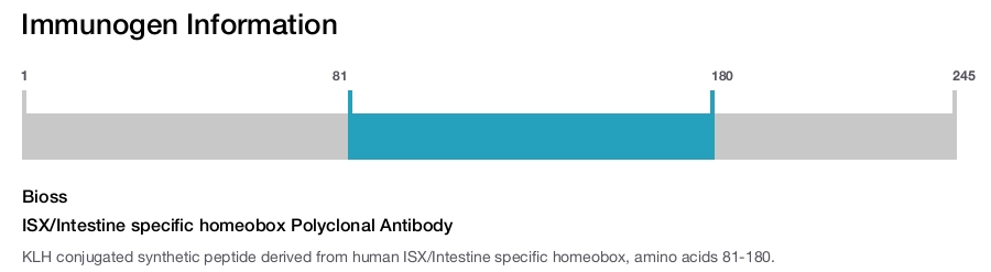 ISX/Intestine specific homeobox Polyclonal Antibody