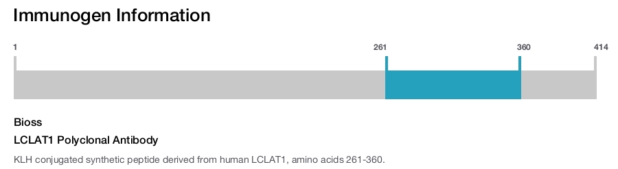 LCLAT1 Polyclonal Antibody