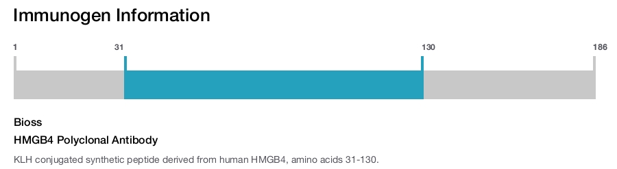 HMGB4 Polyclonal Antibody