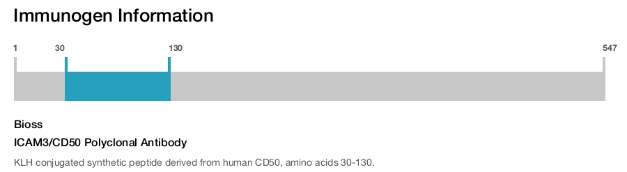 ICAM3/CD50 Polyclonal Antibody