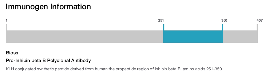 Pro-Inhibin beta B Polyclonal Antibody