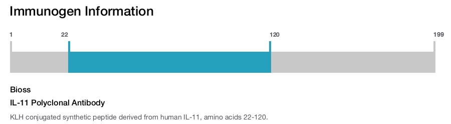 IL-11 Polyclonal Antibody