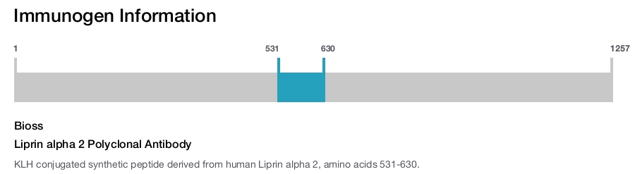 Liprin alpha 2 Polyclonal Antibody