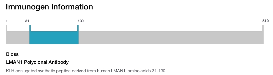 LMAN1 Polyclonal Antibody