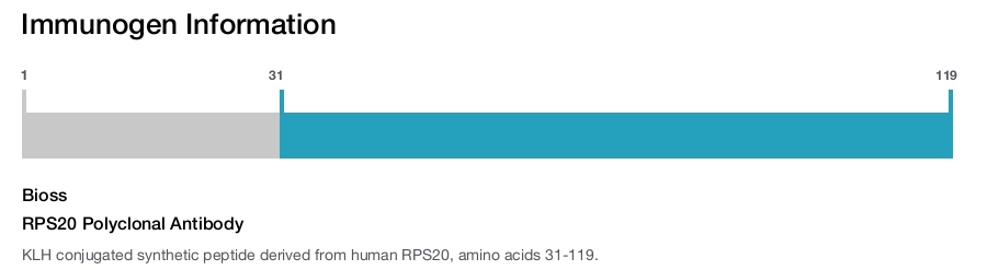 RPS20 Polyclonal Antibody