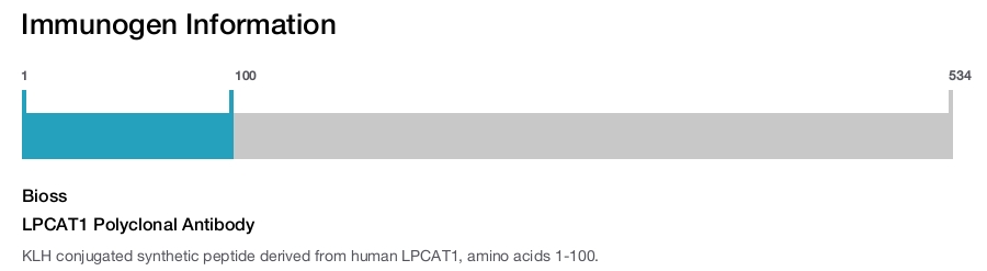 LPCAT1 Polyclonal Antibody