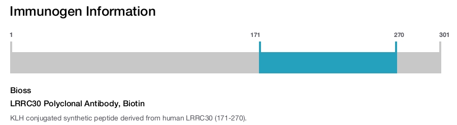 LRRC30 Polyclonal Antibody, Biotin