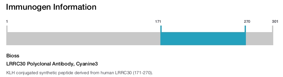 LRRC30 Polyclonal Antibody, Cyanine3