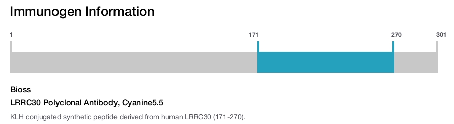 LRRC30 Polyclonal Antibody, Cyanine5.5