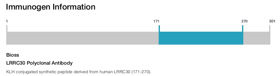 LRRC30 Polyclonal Antibody