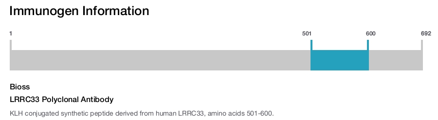 LRRC33 Polyclonal Antibody