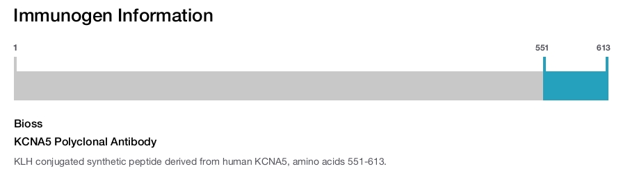 KCNA5 Polyclonal Antibody
