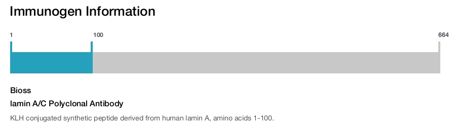 lamin A/C Polyclonal Antibody