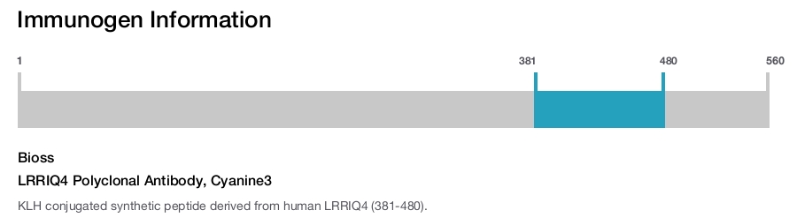 LRRIQ4 Polyclonal Antibody, Cyanine3