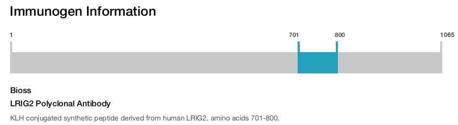 LRIG2 Polyclonal Antibody