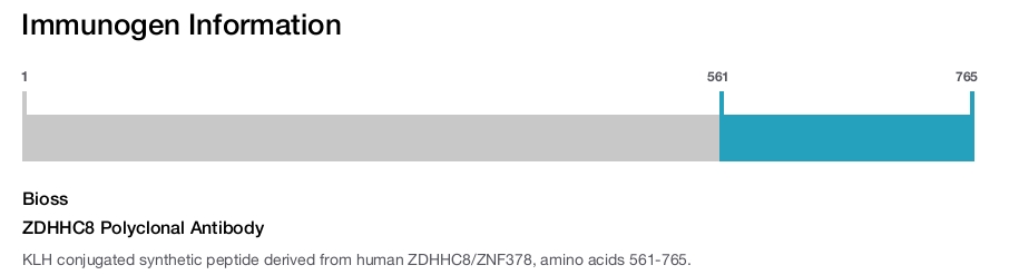 ZDHHC8 Polyclonal Antibody