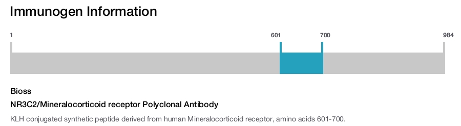 NR3C2/Mineralocorticoid receptor Polyclonal Antibody