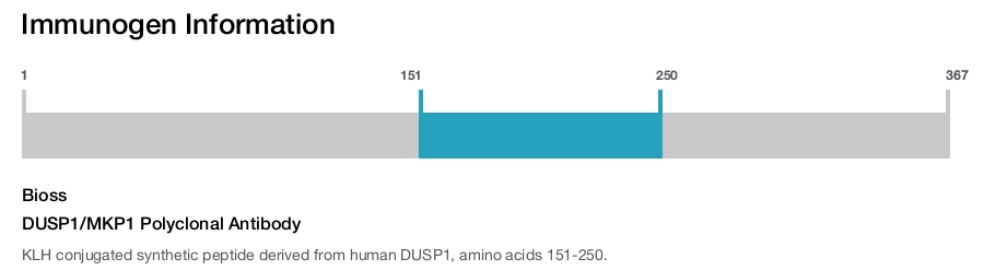 DUSP1/MKP1 Polyclonal Antibody