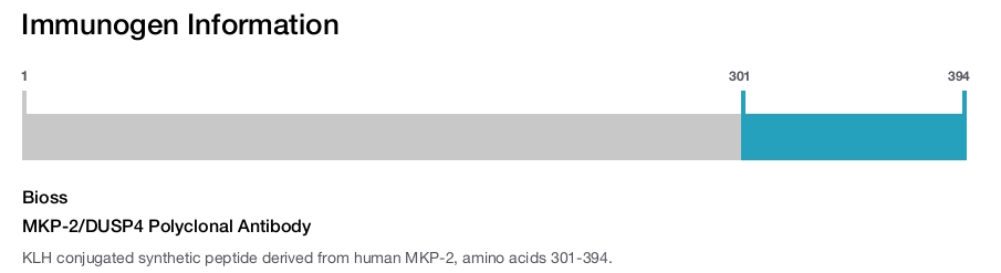 MKP-2/DUSP4 Polyclonal Antibody