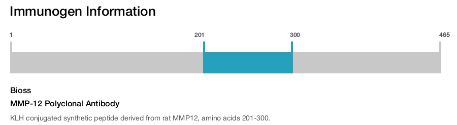 MMP-12 Polyclonal Antibody